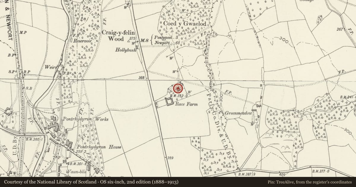 Ordnance Survey six-inch map, 2nd edition (1888–1913) covering the location of Race Farmhouse, New Inn, Torfaen, with a pin at the register's coordinates
