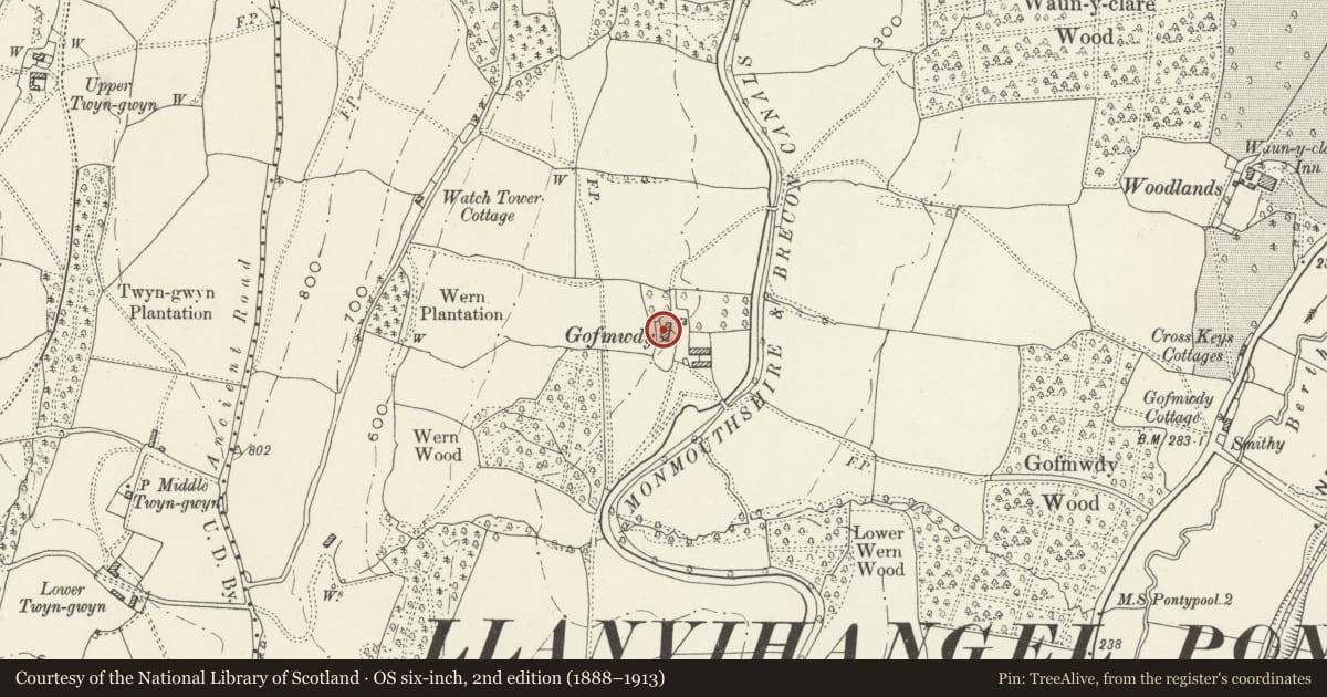 Ordnance Survey six-inch map, 2nd edition (1888–1913) covering the location of Wern Farmhouse, New Inn, Torfaen, with a pin at the register's coordinates
