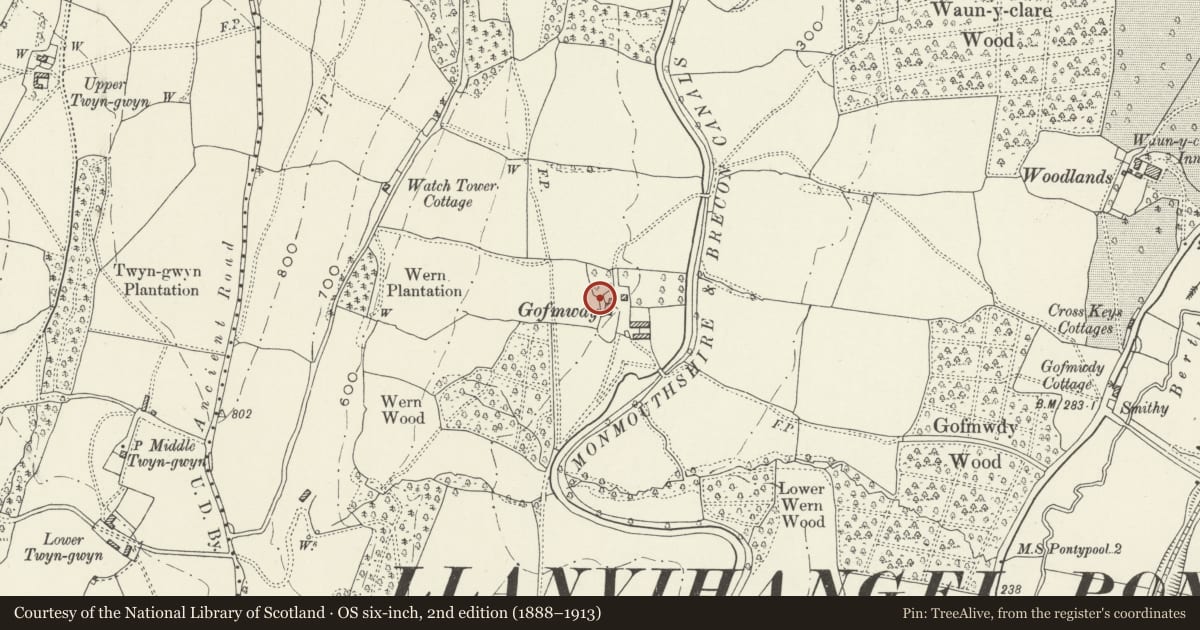 Ordnance Survey six-inch map, 2nd edition (1888–1913) covering the location of Pigsty at Wern Farm, New Inn, Torfaen, with a pin at the register's coordinates