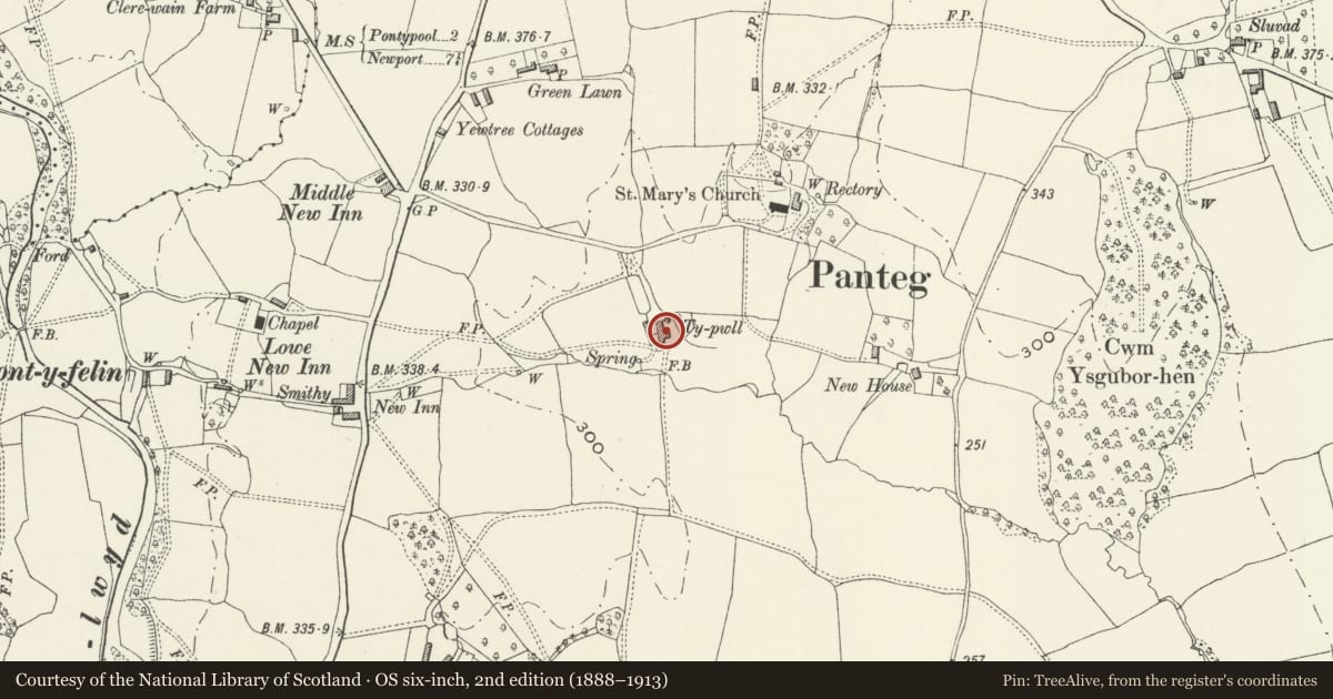 Ordnance Survey six-inch map, 2nd edition (1888–1913) covering the location of Church Farmhouse, New Inn, Torfaen, with a pin at the register's coordinates