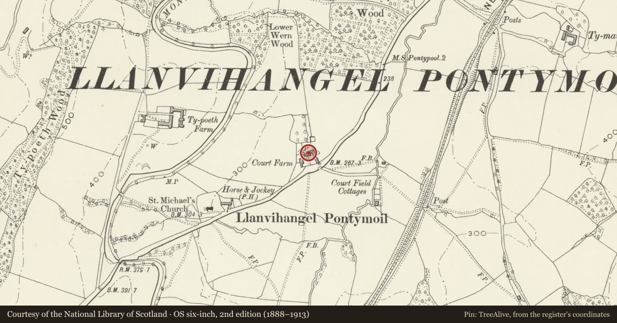 Ordnance Survey six-inch map, 2nd edition (1888–1913) covering the location of Court Farmhouse, New Inn, Torfaen, with a pin at the register's coordinates
