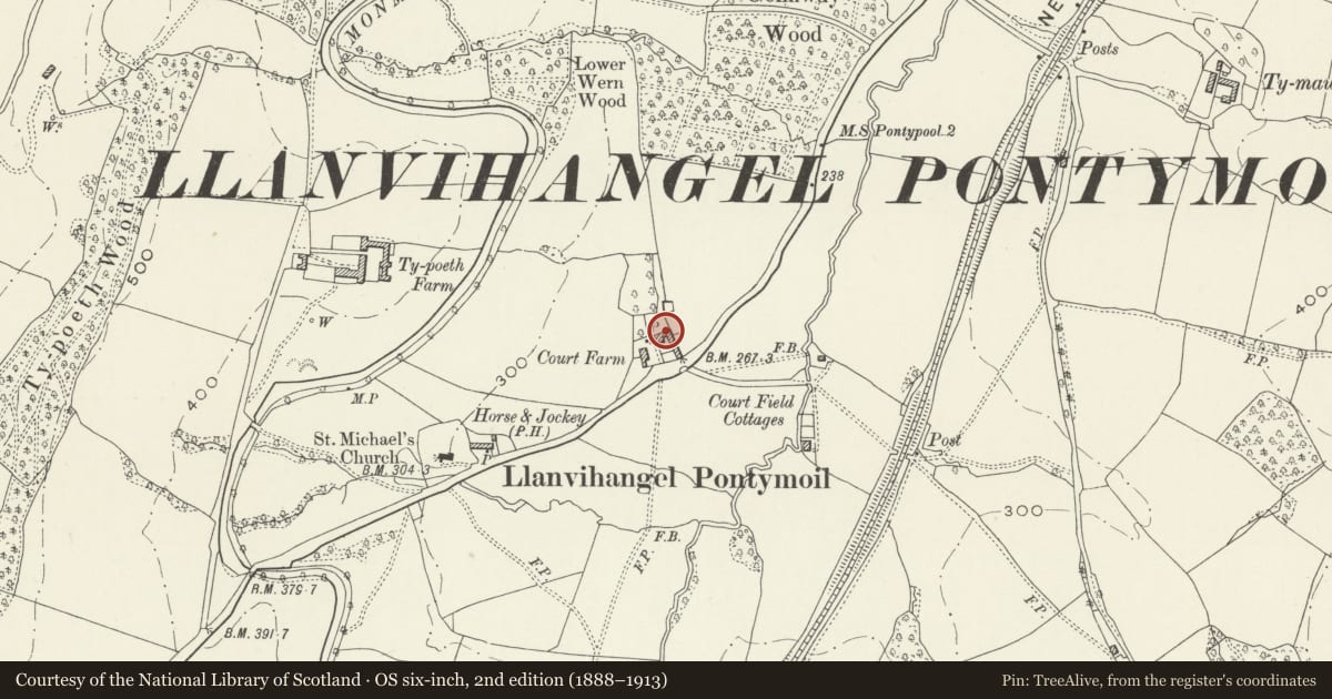Ordnance Survey six-inch map, 2nd edition (1888–1913) covering the location of Small Barn at Court Farm, New Inn, Torfaen, with a pin at the register's coordinates