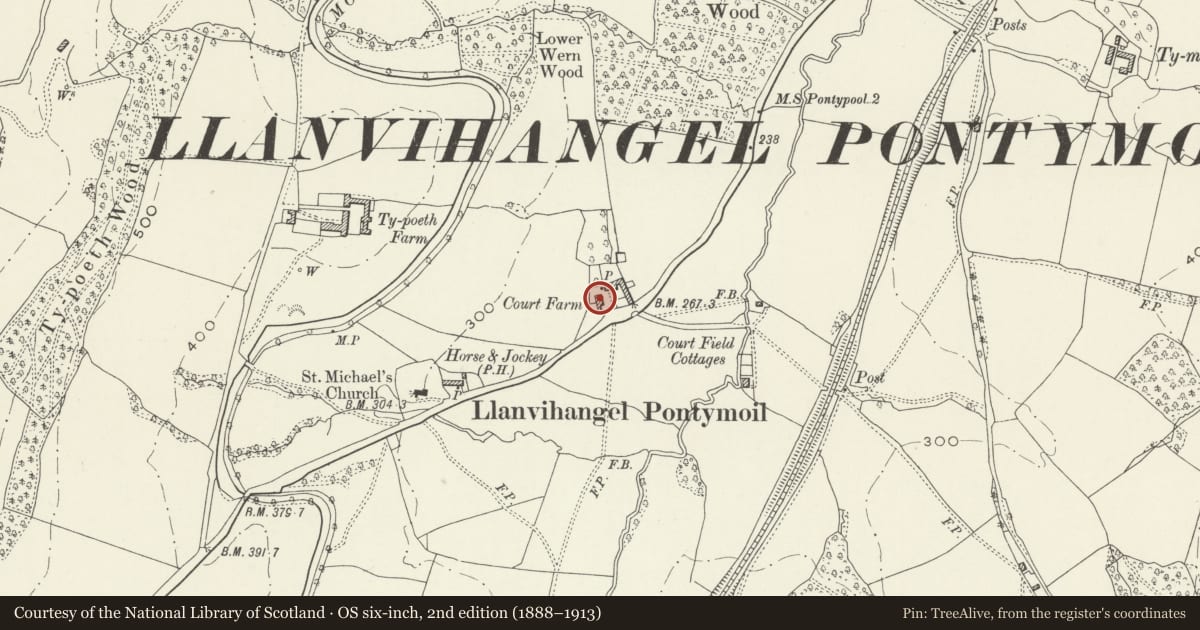 Ordnance Survey six-inch map, 2nd edition (1888–1913) covering the location of Large Barn at Court Farm, New Inn, Torfaen, with a pin at the register's coordinates