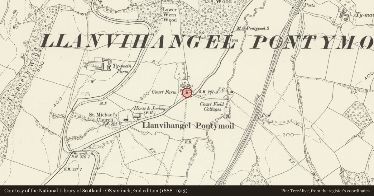 Ordnance Survey six-inch map, 2nd edition (1888–1913) covering the location of Entrance gate and gatepiers at Court Farm, New Inn, Torfaen, with a pin at the register's coordinates