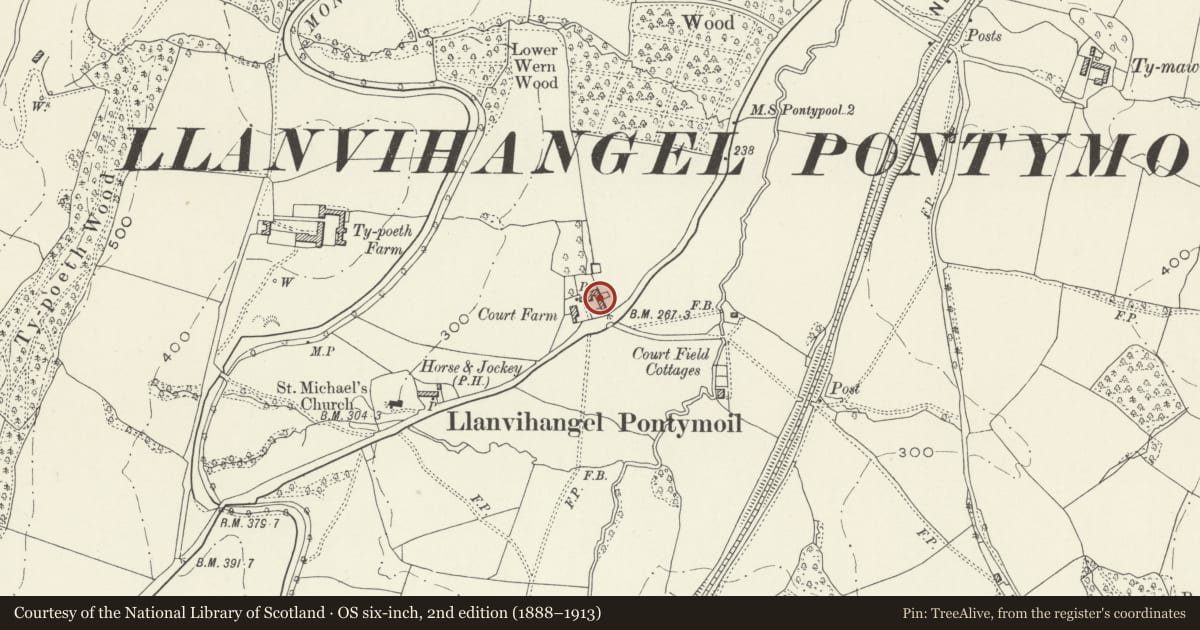 Ordnance Survey six-inch map, 2nd edition (1888–1913) covering the location of Cowhouse at Court Farm, New Inn, Torfaen, with a pin at the register's coordinates