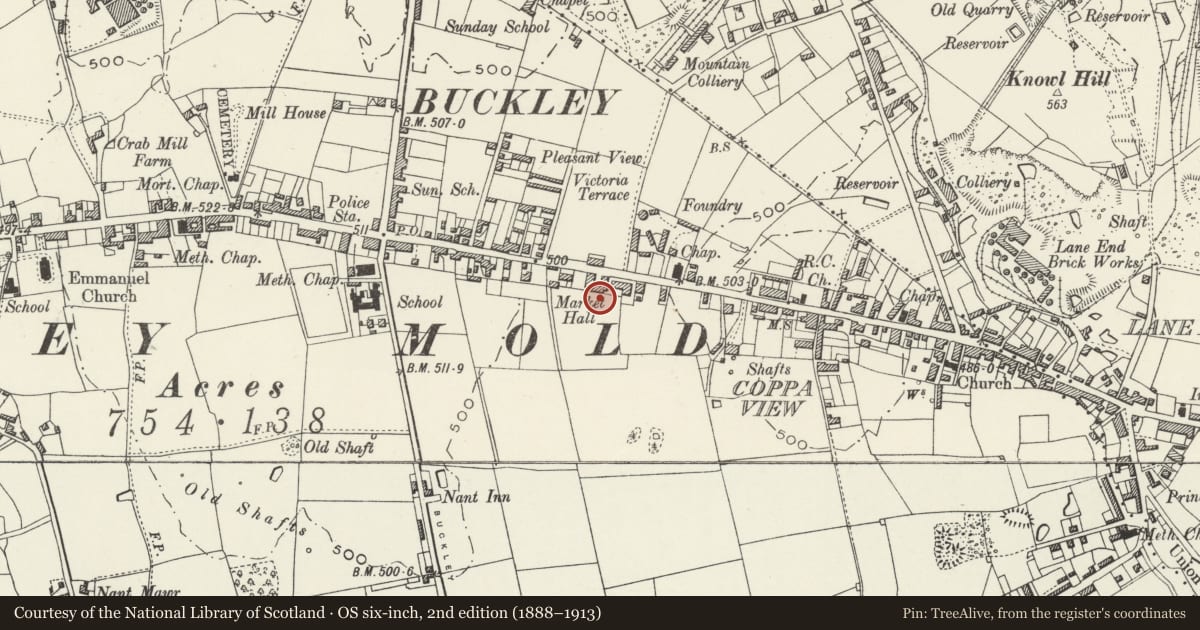 Ordnance Survey six-inch map, 2nd edition (1888–1913) covering the location of The Tivoli, Buckley, Flintshire, with a pin at the register's coordinates