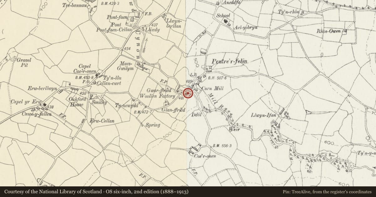 Ordnance Survey six-inch map, 2nd edition (1888–1913) covering the location of Pentrefelin Cottage, Llanfair Clydogau, Ceredigion, with a pin at the register's coordinates