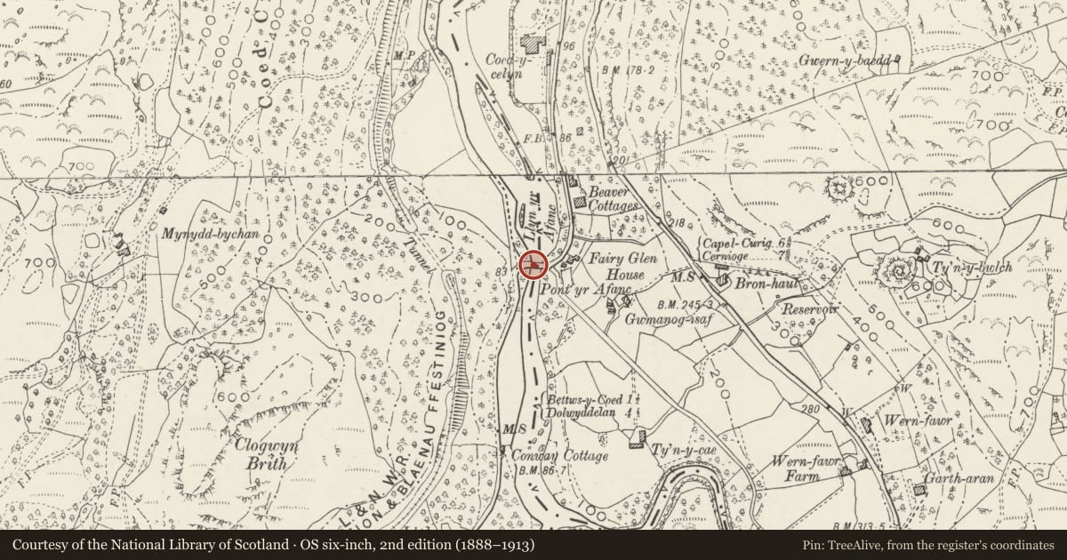 Ordnance Survey six-inch map, 2nd edition (1888–1913) covering the location of Pont-yr-Afanc, Betws-y-Coed, Conwy, with a pin at the register's coordinates