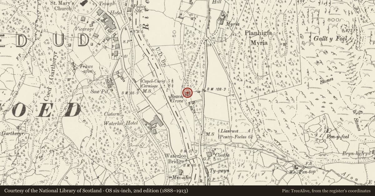 Ordnance Survey six-inch map, 2nd edition (1888–1913) covering the location of Beaver Grove House, Bro Garmon, Conwy, with a pin at the register's coordinates