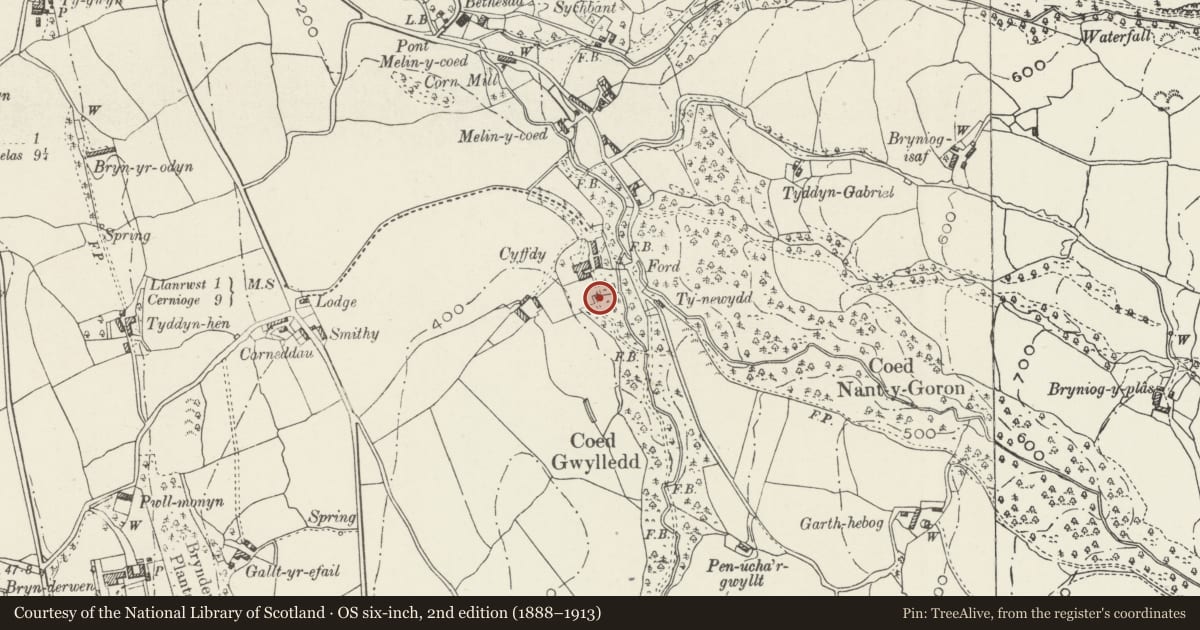 Ordnance Survey six-inch map, 2nd edition (1888–1913) covering the location of Gazebo at Cyffdy Hall, Bro Garmon, Conwy, with a pin at the register's coordinates