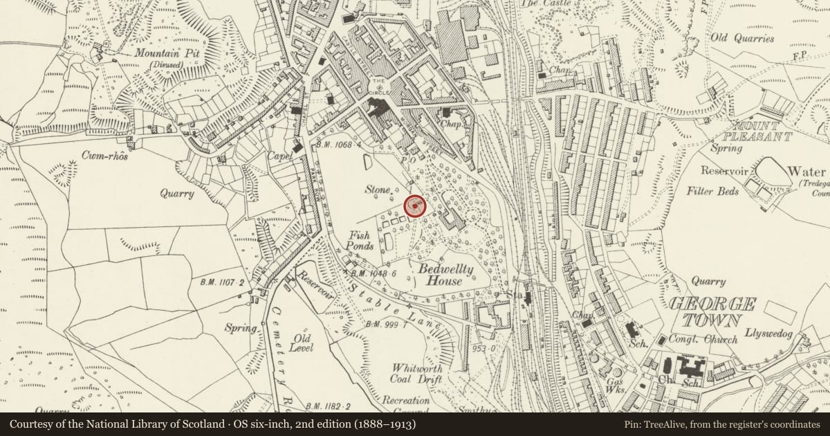 Ordnance Survey six-inch map, 2nd edition (1888–1913) covering the location of Great Exhibition Lump of Coal at Bedwellty Park, Tredegar, Blaenau Gwent, with a pin at the register's coordinates