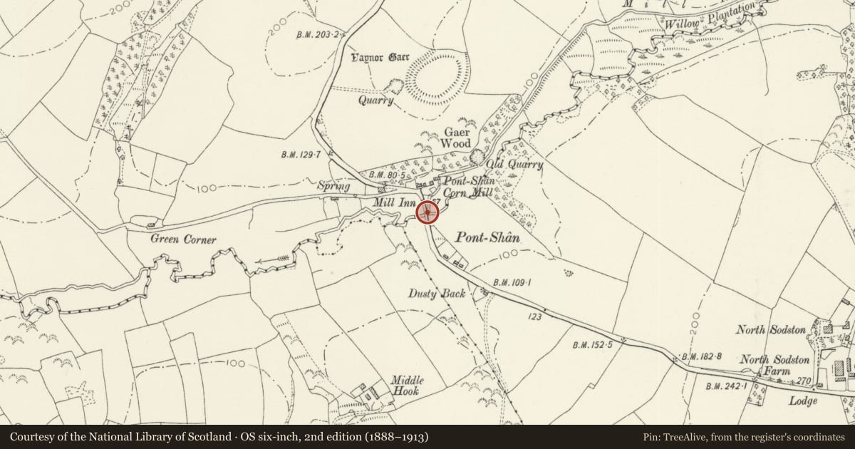 Ordnance Survey six-inch map, 2nd edition (1888–1913) covering the location of Pont Shân, Llawhaden, Pembrokeshire, with a pin at the register's coordinates