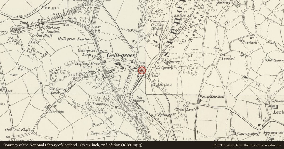 Ordnance Survey six-inch map, 2nd edition (1888–1913) covering the location of Gelli-groes Mill, Pontllanfraith, Caerphilly, with a pin at the register's coordinates