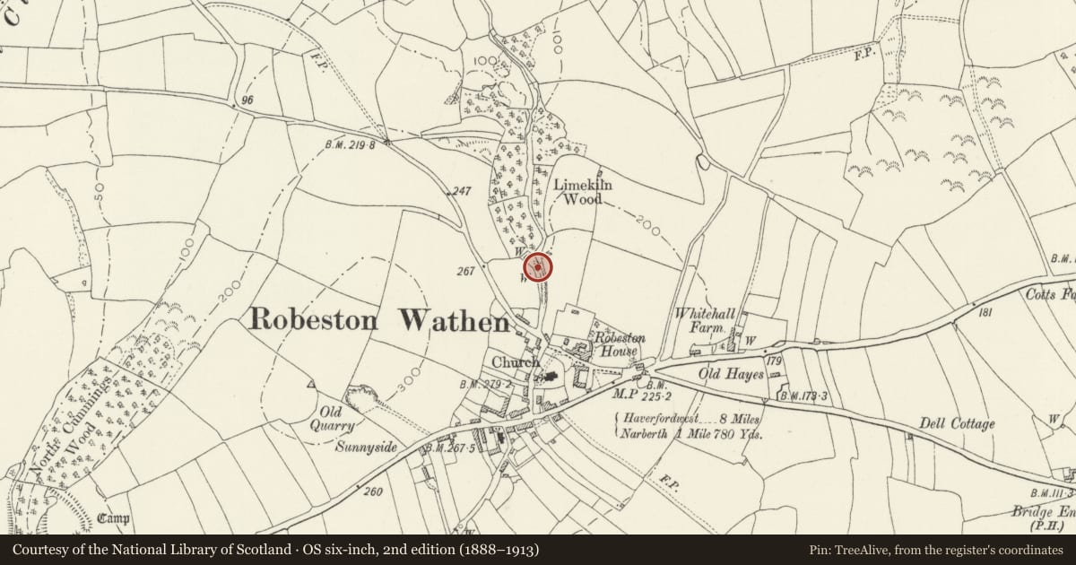 Ordnance Survey six-inch map, 2nd edition (1888–1913) covering the location of Rock Well, Llawhaden, Pembrokeshire, with a pin at the register's coordinates
