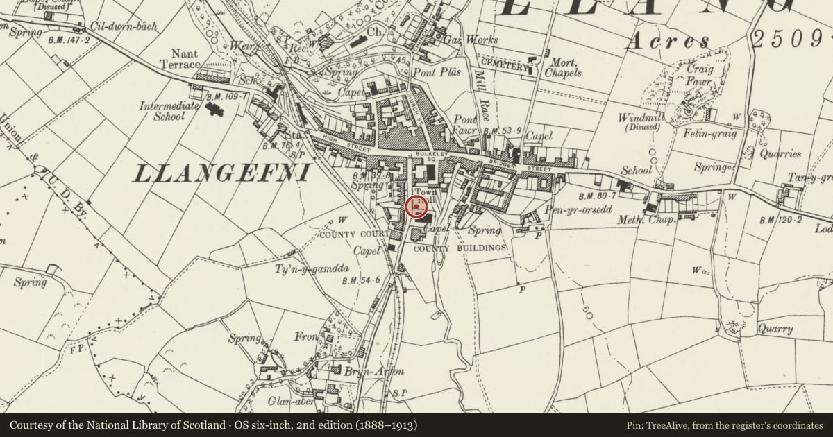 Ordnance Survey six-inch map, 2nd edition (1888–1913) covering the location of Doldir, Llangefni, Isle of Anglesey, with a pin at the register's coordinates
