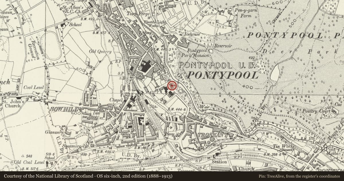 Ordnance Survey six-inch map, 2nd edition (1888–1913) covering the location of Memorial gates, gate-piers and flanking quadrant screens to Pontypool Park, Pontymoile, Torfaen, with a pin at the register's coordinates