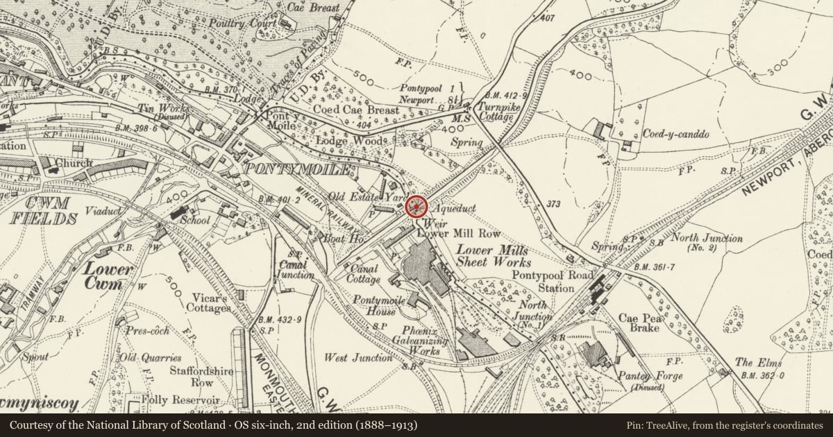 Ordnance Survey six-inch map, 2nd edition (1888–1913) covering the location of Aqueduct over the Afon Lwyd, Monmouthshire and Brecon Canal, including weir to south, Pontymoile, Torfaen, with a pin at the register's coordinates