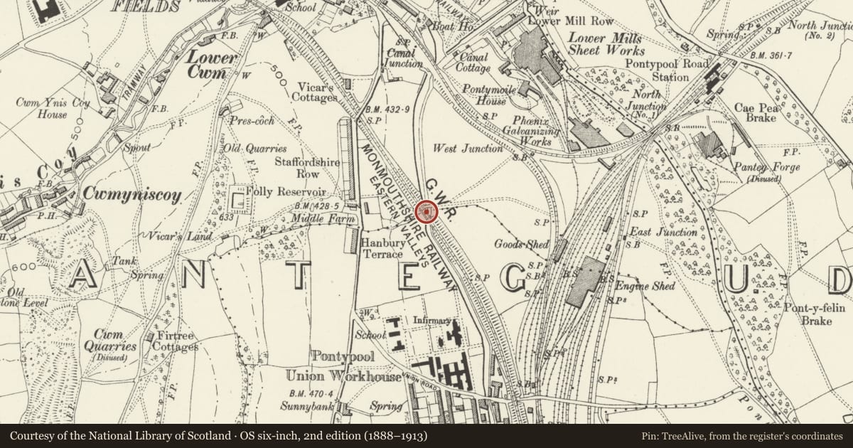 Ordnance Survey six-inch map, 2nd edition (1888–1913) covering the location of Old railway bridge at Coed-y-Gric, Pontymoile, Torfaen, with a pin at the register's coordinates
