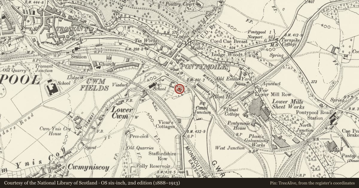 Ordnance Survey six-inch map, 2nd edition (1888–1913) covering the location of Maesderwen and Maesderwen-bach, Pontymoile, Torfaen, with a pin at the register's coordinates