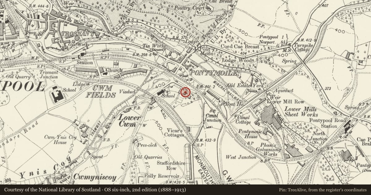 Ordnance Survey six-inch map, 2nd edition (1888–1913) covering the location of Maesderwen Lodge (Pontypool Park estate office), Pontymoile, Torfaen, with a pin at the register's coordinates