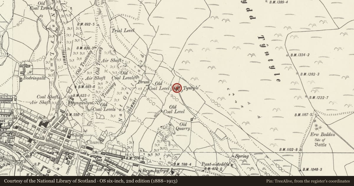 Ordnance Survey six-inch map, 2nd edition (1888–1913) covering the location of Tyntyla Farmhouse, Ystrad, Rhondda Cynon Taff, with a pin at the register's coordinates