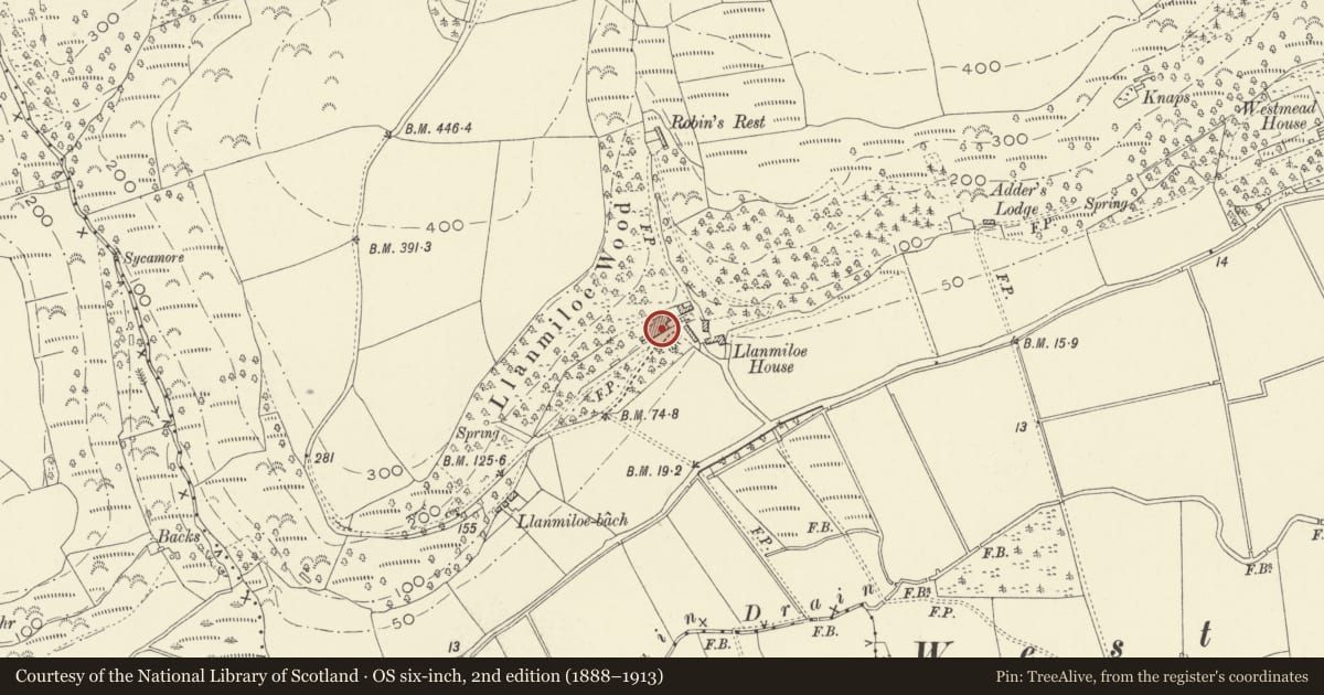 Ordnance Survey six-inch map, 2nd edition (1888–1913) covering the location of Llanmiloe House, Llanddowror, Carmarthenshire, with a pin at the register's coordinates