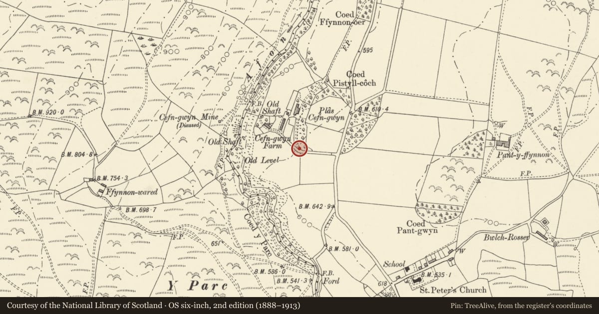 Ordnance Survey six-inch map, 2nd edition (1888–1913) covering the location of Gate to Plas Cefn Gwyn, Ceulanamaesmawr, Ceredigion, with a pin at the register's coordinates