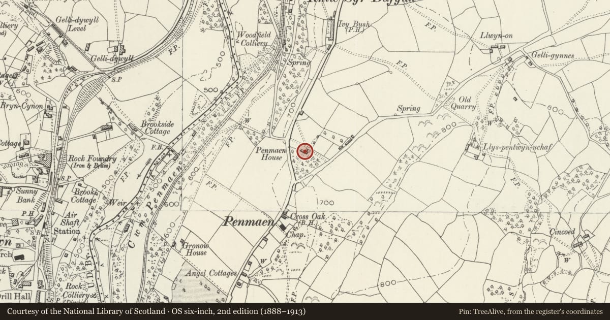 Ordnance Survey six-inch map, 2nd edition (1888–1913) covering the location of Penmaen House, Caerphilly, with a pin at the register's coordinates