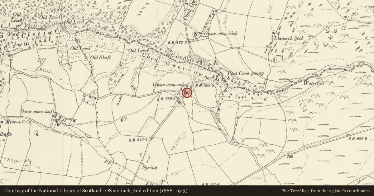 Ordnance Survey six-inch map, 2nd edition (1888–1913) covering the location of Outbuildings to NE of Gwar-cwm-uchaf, Ceulanamaesmawr, Ceredigion, with a pin at the register's coordinates