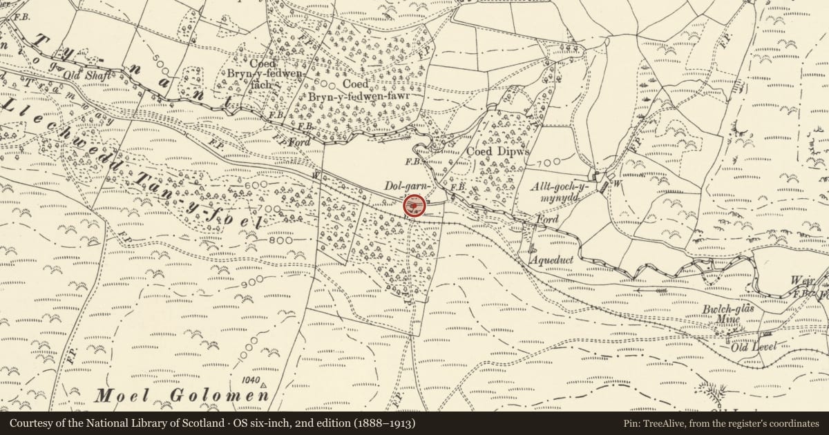 Ordnance Survey six-inch map, 2nd edition (1888–1913) covering the location of Dolgarnwen, Ceulanamaesmawr, Ceredigion, with a pin at the register's coordinates