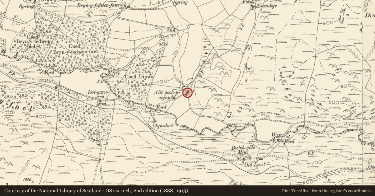 Ordnance Survey six-inch map, 2nd edition (1888–1913) covering the location of Alltgochymynydd, Ceulanamaesmawr, Ceredigion, with a pin at the register's coordinates