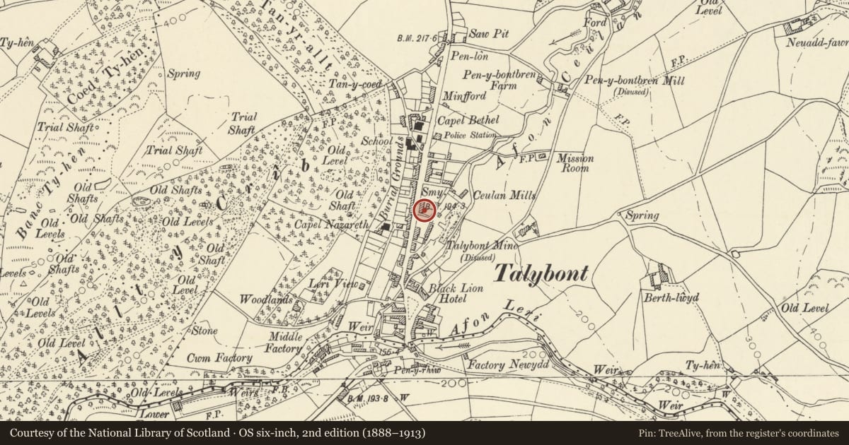 Ordnance Survey six-inch map, 2nd edition (1888–1913) covering the location of No 1 Tyrrel Place, Ceulanamaesmawr, Ceredigion, with a pin at the register's coordinates