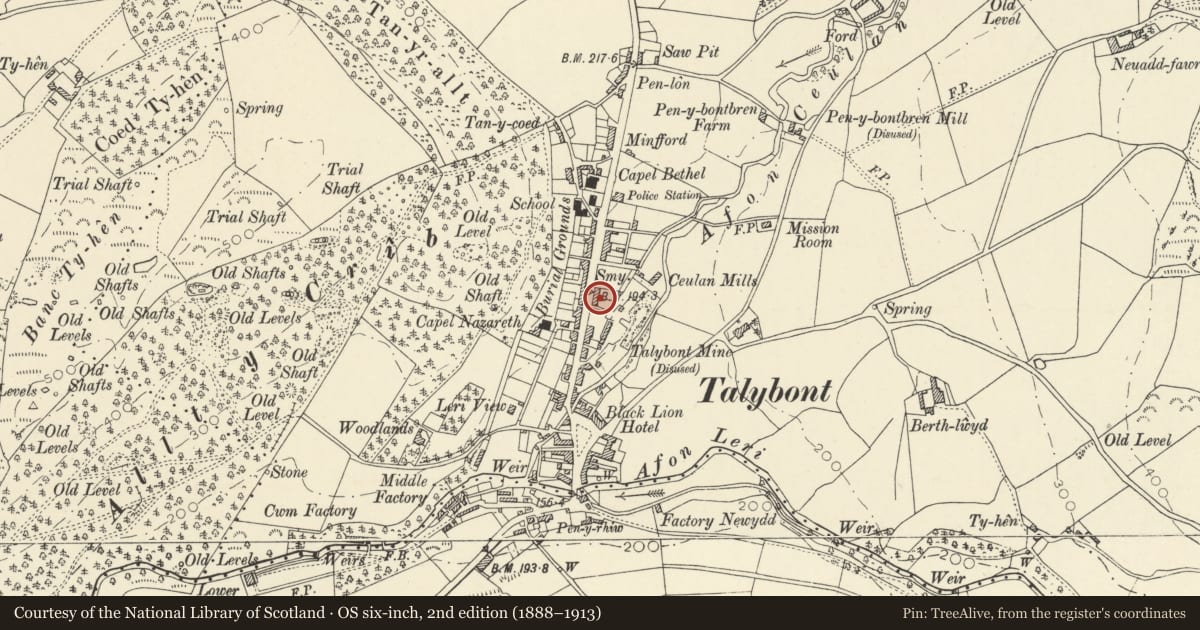 Ordnance Survey six-inch map, 2nd edition (1888–1913) covering the location of No 2 Tyrrel Place, Ceulanamaesmawr, Ceredigion, with a pin at the register's coordinates