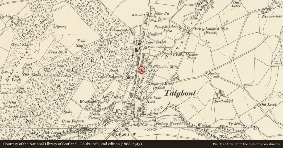 Ordnance Survey six-inch map, 2nd edition (1888–1913) covering the location of No 3 Tyrrel Place, Ceulanamaesmawr, Ceredigion, with a pin at the register's coordinates