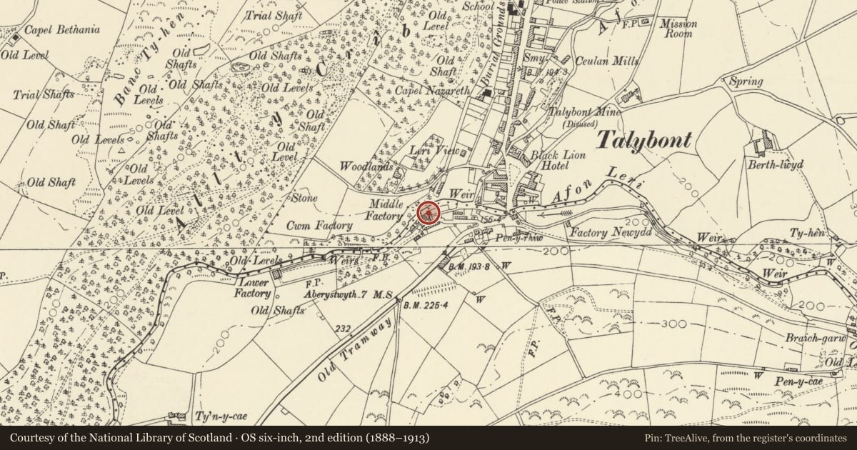 Ordnance Survey six-inch map, 2nd edition (1888–1913) covering the location of NE range, Middle Factory, Leri Mills, Ceulanamaesmawr, Ceredigion, with a pin at the register's coordinates