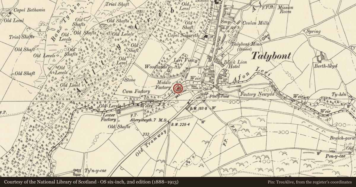 Ordnance Survey six-inch map, 2nd edition (1888–1913) covering the location of Riverside Building, Middle Factory, Leri Mills, Ceulanamaesmawr, Ceredigion, with a pin at the register's coordinates