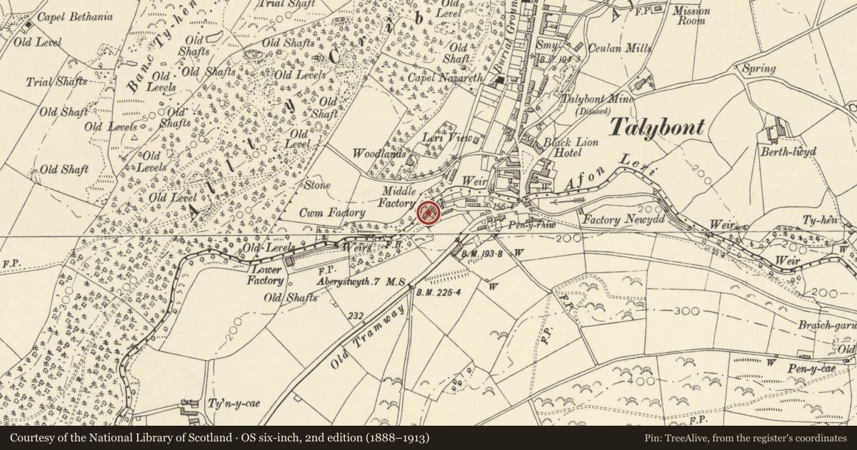 Ordnance Survey six-inch map, 2nd edition (1888–1913) covering the location of Dyeing Shed, Middle Factory, Leri Mills, Ceulanamaesmawr, Ceredigion, with a pin at the register's coordinates