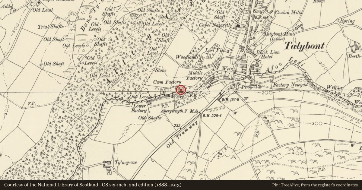 Ordnance Survey six-inch map, 2nd edition (1888–1913) covering the location of Cwm Factory, Leri Mills, Ceulanamaesmawr, Ceredigion, with a pin at the register's coordinates