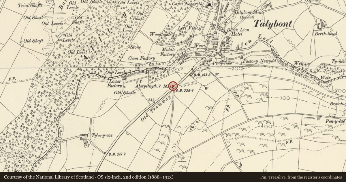 Ordnance Survey six-inch map, 2nd edition (1888–1913) covering the location of Milestone S of Talybont, Ceulanamaesmawr, Ceredigion, with a pin at the register's coordinates