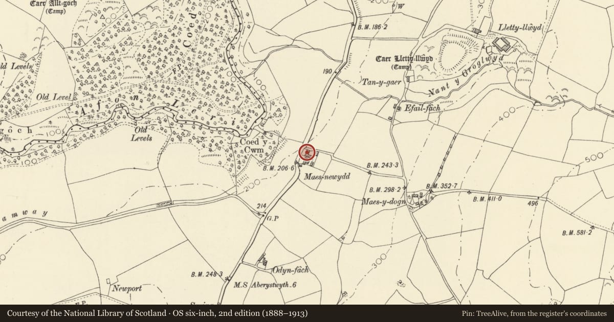 Ordnance Survey six-inch map, 2nd edition (1888–1913) covering the location of Maesnewydd, Ceulanamaesmawr, Ceredigion, with a pin at the register's coordinates