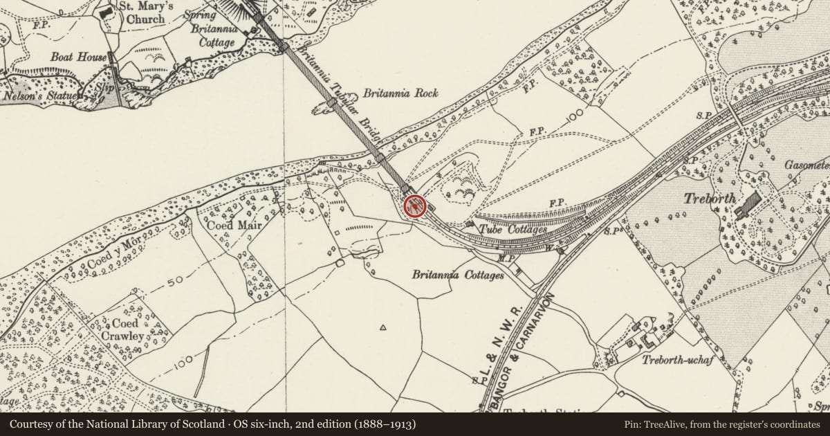 Ordnance Survey six-inch map, 2nd edition (1888–1913) covering the location of Lion on W side of S entrance to Britannia Bridge, Pentir, Gwynedd, with a pin at the register's coordinates