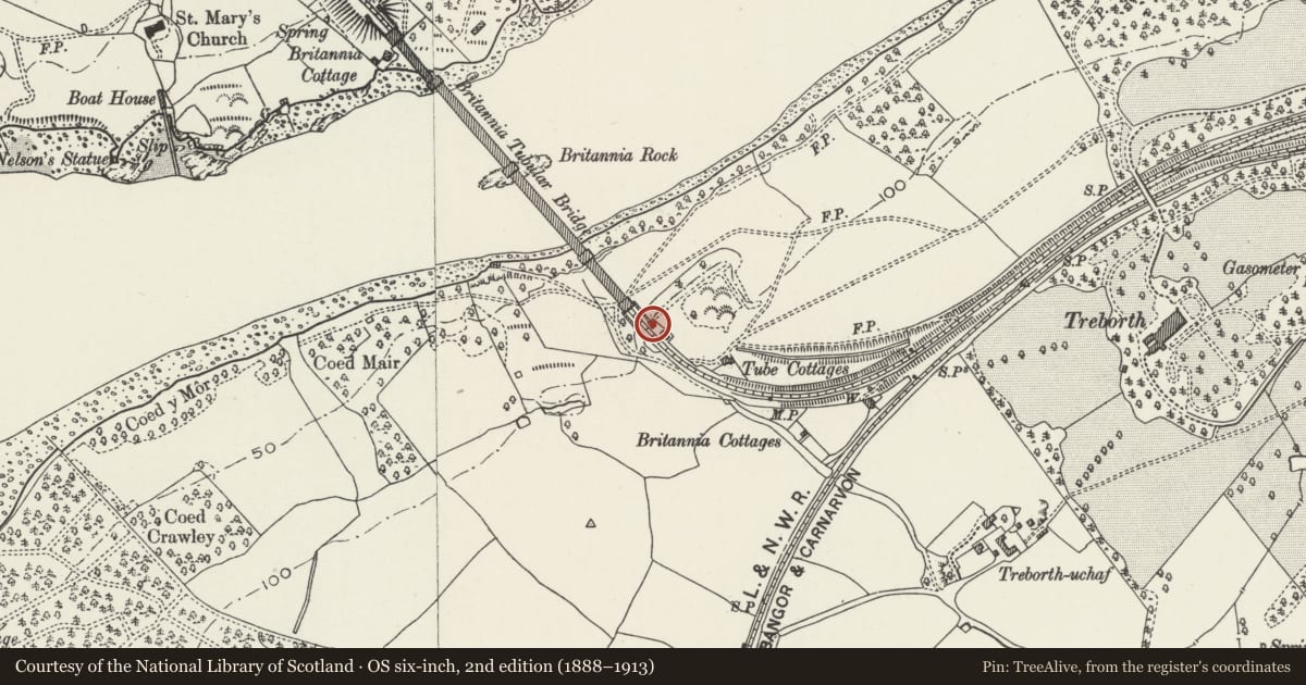 Ordnance Survey six-inch map, 2nd edition (1888–1913) covering the location of Lion on E side of S entrance to Britannia Bridge, Pentir, Gwynedd, with a pin at the register's coordinates
