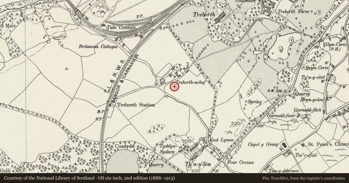 Ordnance Survey six-inch map, 2nd edition (1888–1913) covering the location of Bronwydd, Pentir, Gwynedd, with a pin at the register's coordinates