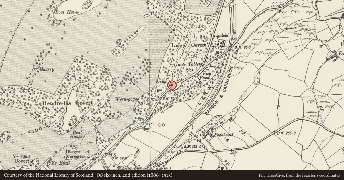 Ordnance Survey six-inch map, 2nd edition (1888–1913) covering the location of Boundary Wall to Vaynol Park, including railings along the Menai Strait shore, Pentir, Gwynedd, with a pin at the register's coordinates