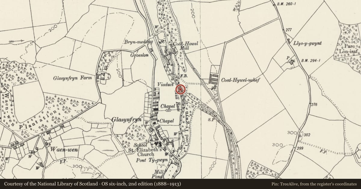 Ordnance Survey six-inch map, 2nd edition (1888–1913) covering the location of The 'Stepped' Bridge to Britannia Park, Pentir, Gwynedd, with a pin at the register's coordinates