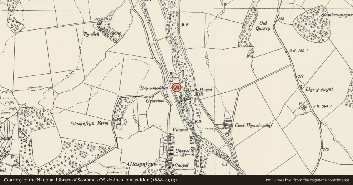 Ordnance Survey six-inch map, 2nd edition (1888–1913) covering the location of Bryn-y-meddyg, Pentir, Gwynedd, with a pin at the register's coordinates
