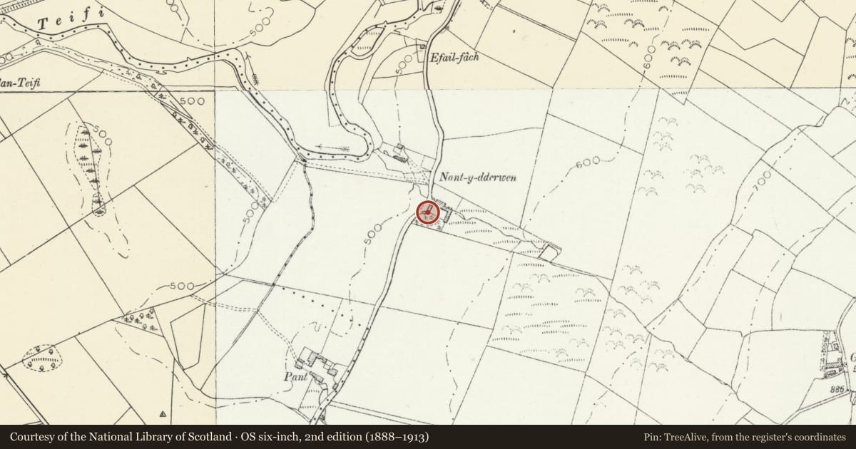 Ordnance Survey six-inch map, 2nd edition (1888–1913) covering the location of W Range of outbuildings at Nant-y-Dderwen, Llanddewi Brefi, Ceredigion, with a pin at the register's coordinates