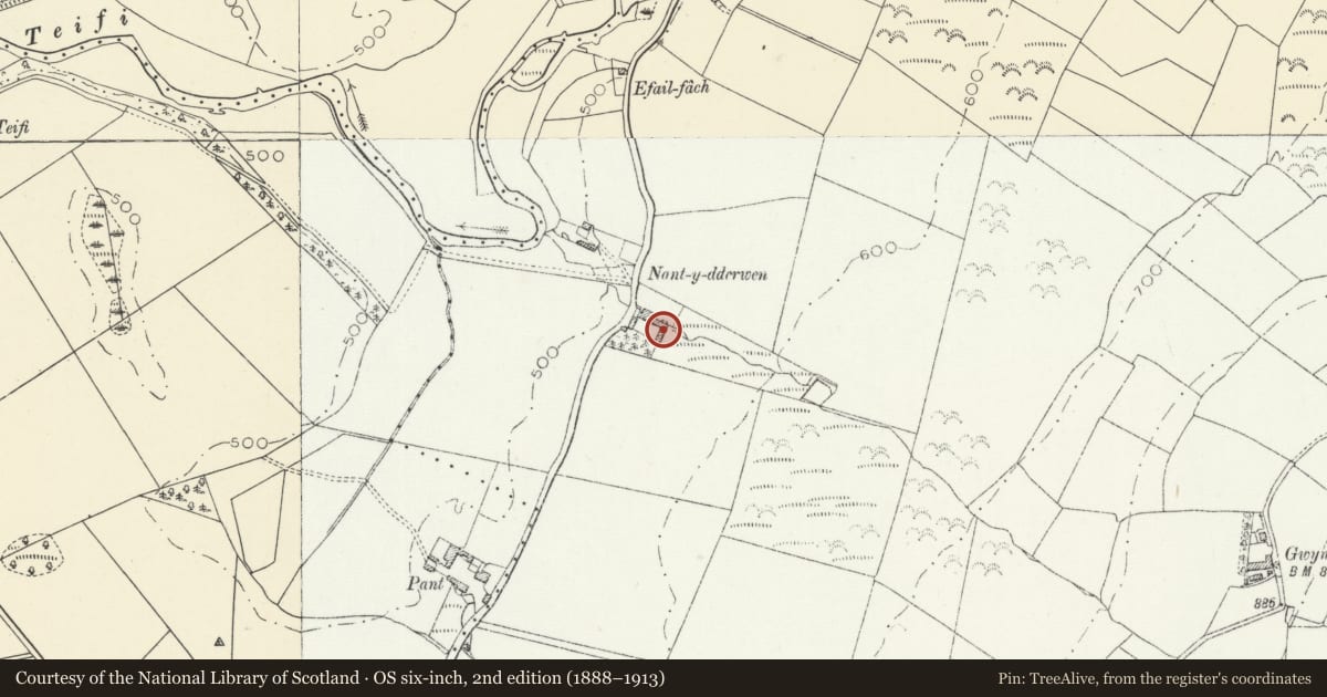 Ordnance Survey six-inch map, 2nd edition (1888–1913) covering the location of N and E ranges of outbuidings at Nant-y-Dderwen, Llanddewi Brefi, Ceredigion, with a pin at the register's coordinates