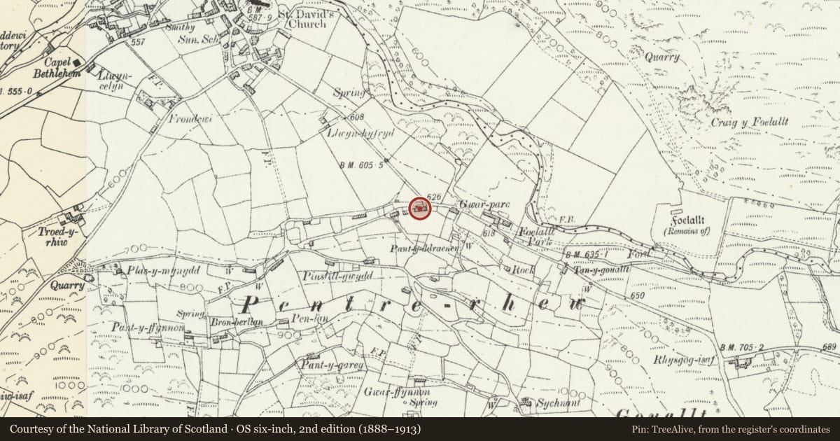 Ordnance Survey six-inch map, 2nd edition (1888–1913) covering the location of Neuadd, Llanddewi Brefi, Ceredigion, with a pin at the register's coordinates