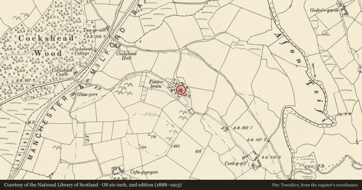 Ordnance Survey six-inch map, 2nd edition (1888–1913) covering the location of Pentre Brain, Llanddewi Brefi, Ceredigion, with a pin at the register's coordinates